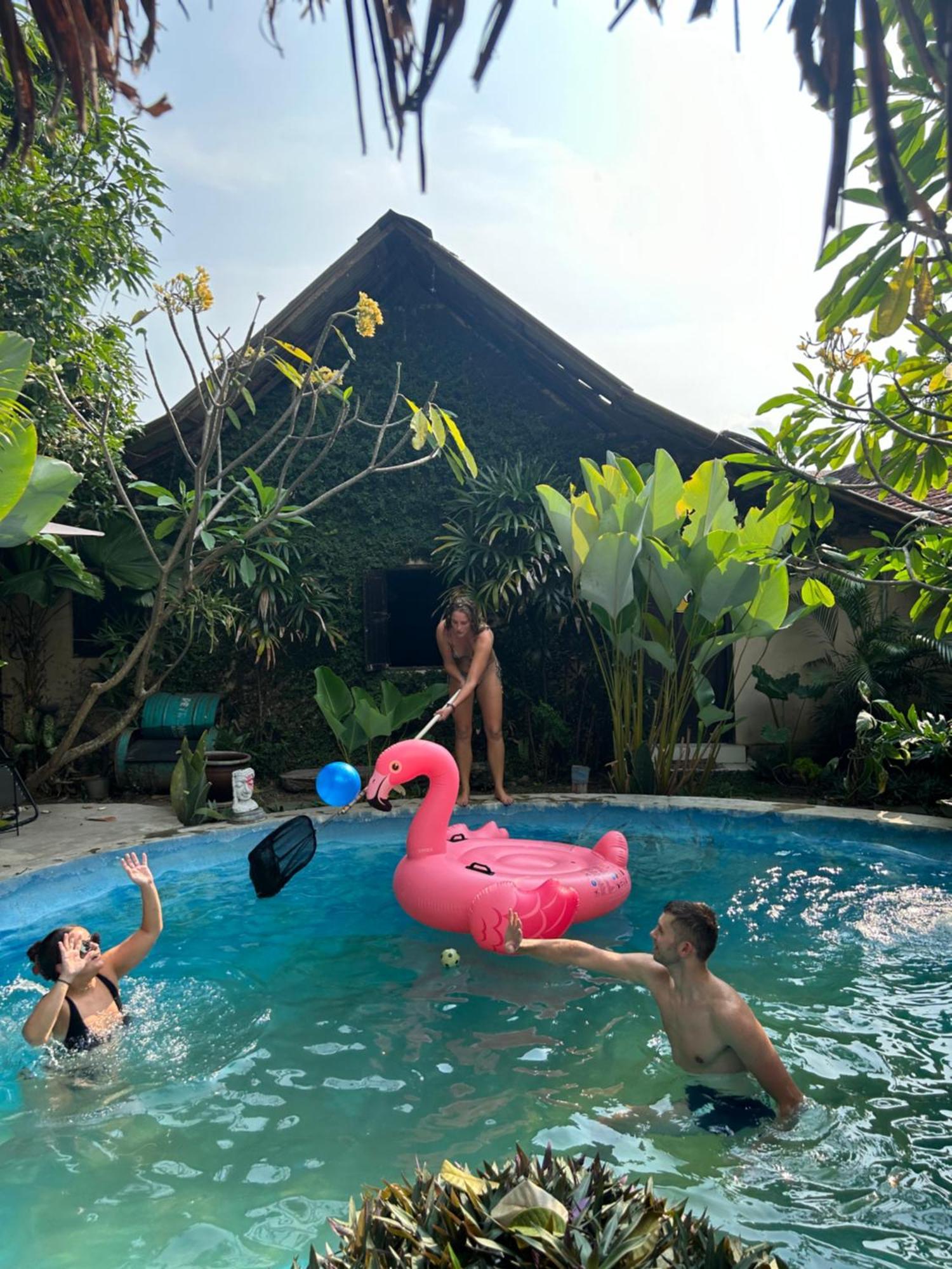 Losmanos Hostel Yogyakarta Extérieur photo